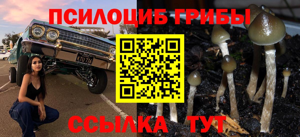 Псилоцибиновые грибы Magic Shrooms Россия