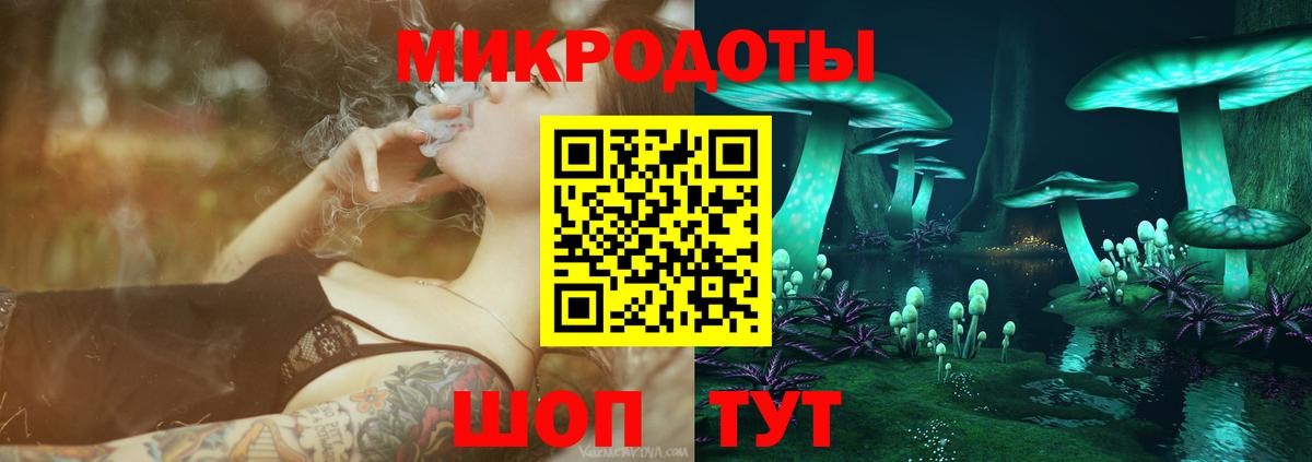 Россия  Галлюциногенные грибы Psilocybine cubensis  Вход с VPN 